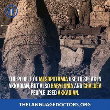 Akkadian No Longer Alive- it was a combination of three languages 
