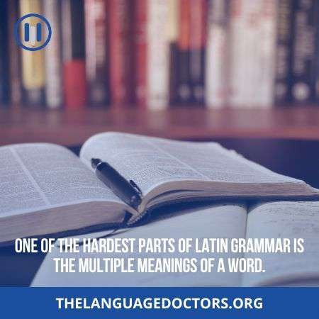 Challenging Multiple Meaning- these make learning process difficult