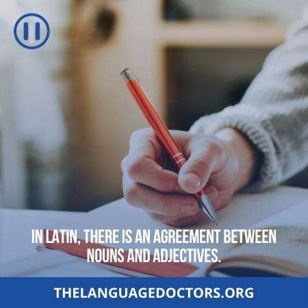 Hard Sentence Agreement-it is not easy to graps