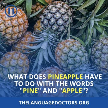 Some Things Are Nonsensical