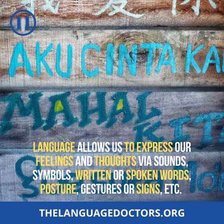 What is Language-you should know it 