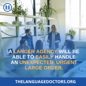 How Many Translators Is the Company Working with? 