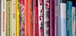 Close-up view of a row of standing books